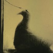 Cycle. Film Photograph, Fine-Art Photograph, and Photograph project by Gabriela Sauer Kolcavova - 04.11.2021