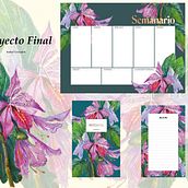  Bahuinia Blakeana. Botanical Illustration project by Isabel Granados - 04.11.2021