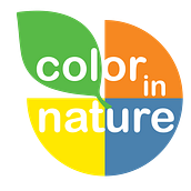 Color in Nature - An exhibition proposal for the Children's Museum of Manhattan.  project by Johanna Vargas - 04.11.2021