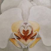 Spring!. Acr, and lic Painting project by Marcela Angel - 04.11.2021