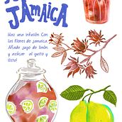 Recetas ilustradas (proyecto personal). Projekt z dziedziny Trad, c, jna ilustracja, R, sunek botaniczn, Ilustracja c, frowa, Ilustracja naturalist, czna i Malowanie akwarelą użytkownika laura gordillo - 01.04.2021