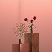 Beauty is in the Eye of the Beholder. 3D, Art Direction, and 3D Design project by Yemi Davis - 05.03.2020