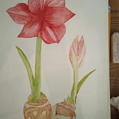 Il mio progetto del corso: Acquerello botanico: illustra l’anatomia dei fiori. Projekt z dziedziny  R, sunek art, st i czn użytkownika saraceruti86 - 12.04.2021