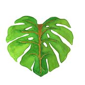 Monstera Deliciosa. Un projet de Illustration botanique , et Aquarelle de Ana Paula Saliba - 09.04.2021