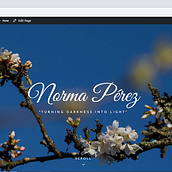 Mi Proyecto del curso: Creación de una web profesional con WordPress. Web Development, Digital Drawing, Graphic Design, and Web Design project by Norma Pérez - 04.12.2021