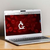 Mi Proyecto del curso: Creación de una web profesional con WordPress. Un proyecto de Diseño Web de María Fernanda Alanís - 13.01.2021