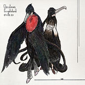 Christmas Frigatebirds. Artistic Drawing, Character Design, Concept Art, Costume Design, Digital Painting, Figure Drawing, Traditional illustration, Ink Illustration, Narrative, Naturalistic Illustration, and Watercolor Painting project by Alsu Kashshapova - 04.13.2021
