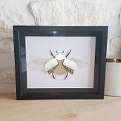 Handmade paper cut Beetle and Bumblebee. Botanical Illustration, Drawing, Traditional illustration, Naturalistic Illustration, and Paper Craft project by Eléonore Zicler - 04.13.2021