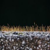 reconocer dónde está la energía en la fotografía y qué tipo de energía es. Un progetto di Gestione di un portfolio di Luis Caballero - 13.04.2021