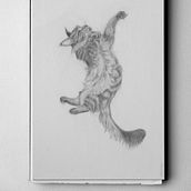 Graphite drawing of Maine Coon cat. Artistic Drawing, Pencil Drawing, Realistic Drawing, and Drawing project by Marj Handog - 04.13.2021