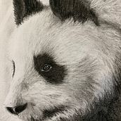 My project in Artistic Charcoal Portraiture: Creating Atmosphere course. Character Design, and Traditional illustration project by Francesca M - 04.13.2021