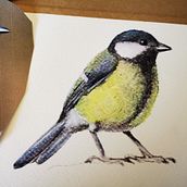 My project in Artistic Watercolor Techniques for Illustrating Birds course. Painting, and Watercolor Painting project by Alena R. - 04.14.2021