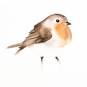My project in Artistic Watercolor Techniques for Illustrating Birds course. Traditional illustration, Watercolor Painting, Realistic Drawing, and Naturalistic Illustration project by funke_jan - 04.14.2021