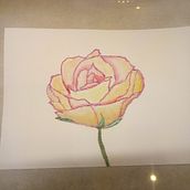 Meu projeto do curso: Rosas. Drawing project by michelleafacchin - 04.14.2021
