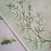 Planta Monocromática nº 1. Un proyecto de Ilustración tradicional, Ilustración botánica y Pintura a la acuarela de Gabriele Baptista - 30.07.2020