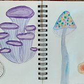 My project in Illustration Techniques to Unlock your Creativity course. Traditional illustration project by Naima Dell'Ava - 04.14.2021