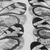 Fragil. Documentar, and Photograph project by Blanca Raquel Samperio Rosas - 04.15.2021