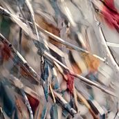 Sticks and Stones. Fine-Art Photograph, and Photographic Composition project by Jyl Blackwell - 04.15.2021