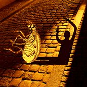 Metamorphosis - Collage. Projekt z dziedziny  Kolaż użytkownika Emilia Nudelman - 15.04.2021