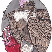Vulture Ein Projekt aus dem Bereich Traditionelle Illustration von Benjamin Stevens - 15.04.2021