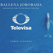 Demo de Demo Reel previo al final Jorge Sánchez. Un projet de 3D, Animation 3D, Cinéma, Cinéma, vidéo et télévision, Design  , et Motion design de Jorge Sánchez - 16.04.2021