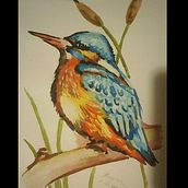 Kingfisher - watercolor pictures. Children's Illustration, Creativit, and Watercolor Painting project by Maja P - 04.16.2021