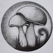 "Mushrooms" from my 2021 Calendar. Een project van  Illustratie met inkt van Efi Tsougeni - 16.04.2021