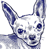 Duque. Un progetto di Disegno artistico di daizen_sekai - 16.04.2021