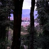 Parque Lindaraja - Bogota D.C. - Reportaje con el verde!. Communication, Creativit, and Photograph project by Jimena Cardenas - 04.25.2021