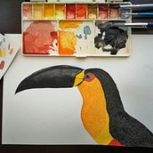 My project in Naturalist Bird Illustration with Watercolors course. Drawing, Painting, and Watercolor Painting project by Marcela Rees - 04.17.2021