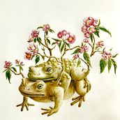 My project in Surrealist Illustration Inspired by Nature course. Projekt z dziedziny Trad, c i jna ilustracja użytkownika susanna_suecia - 17.04.2021