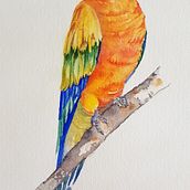 My project in Naturalist Bird Illustration with Watercolors course. Un progetto di Pittura ad acquerello di Jenny Foreman - 18.04.2021