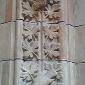 Spring out of Lockdown 2021!. Un proyecto de Dibujo a lápiz de Wendy Wooldridge - 18.04.2021