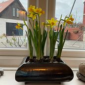 Planter finally finished and in use. Ceramics, Arts, Crafts, and Fine Arts project by Annie Smith - 04.14.2021