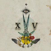 XV | Collage everyday. Un projet de Collage , et Design  de Regina Bordon - 19.04.2021