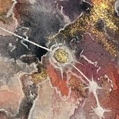 ARIES. Naturalistic Illustration, and Watercolor Painting project by Lúa - 04.19.2020