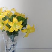 Mi Proyecto del curso: Fotografía profesional para Instagram. Br e ing e Identidade projeto de Ana Belén Moneva - 19.04.2021