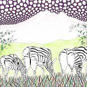 Burchell Zebra, Pen and Ink on Paper. Drawing project by Alan Satterlee - 04.19.2019