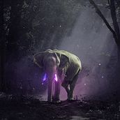 Mattepainting, Dando Magia ao Elefante de Pixabay.. Photomontage, and Matte Painting project by Rafael Lanfredi - 04.19.2021