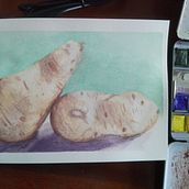 Watercolor Sweet Potato. Een project van Aquarelschilderen van Patrícia Correia - 01.09.2020