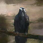 Crow. Digital Painting project by Stefan Ellis - 03.20.2021