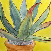 Agave the power. Botanical Illustration project by Lily B. - 04.19.2021