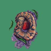 Meu projeto do curso: Estampado têxtil com técnicas digitais. Un proyecto de Arte urbano de João Victor de Souza - 06.05.2021