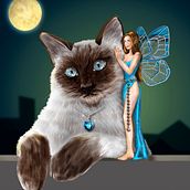 notte  sui tetti. Un progetto di Disegno digitale di Sara Zecchini - 20.04.2021