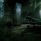 "Treasure in the woods"   |   @allanlouros. Photographic Composition project by aflouros - 04.22.2021