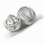 My project in Drawing for Beginners Level -1 course. Pencil Drawing, Drawing, Creating with Kids, and Sketchbook project by charu Ash - 04.21.2021