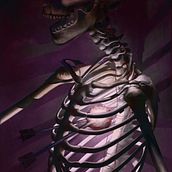 Mi Proyecto Glass Coffin. Un progetto di Illustrazione tradizionale e Pittura digitale di Horion Arturo C G - 21.04.2021