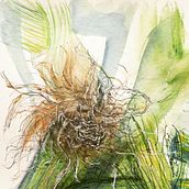 Drawing from nature. Drawing, Naturalistic Illustration, and Watercolor Painting project by Marcela Angel - 04.21.2021