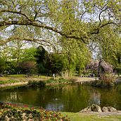 My project in Beginner’s Photography: Basic Camera Use and Theory course : Stroll in the Square des Batignolles in Paris. Digital Photograph project by julienbellot1 - 04.21.2021