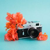 Camara y Flores. Studio Photograph project by Diego López Cano - 04.22.2021
